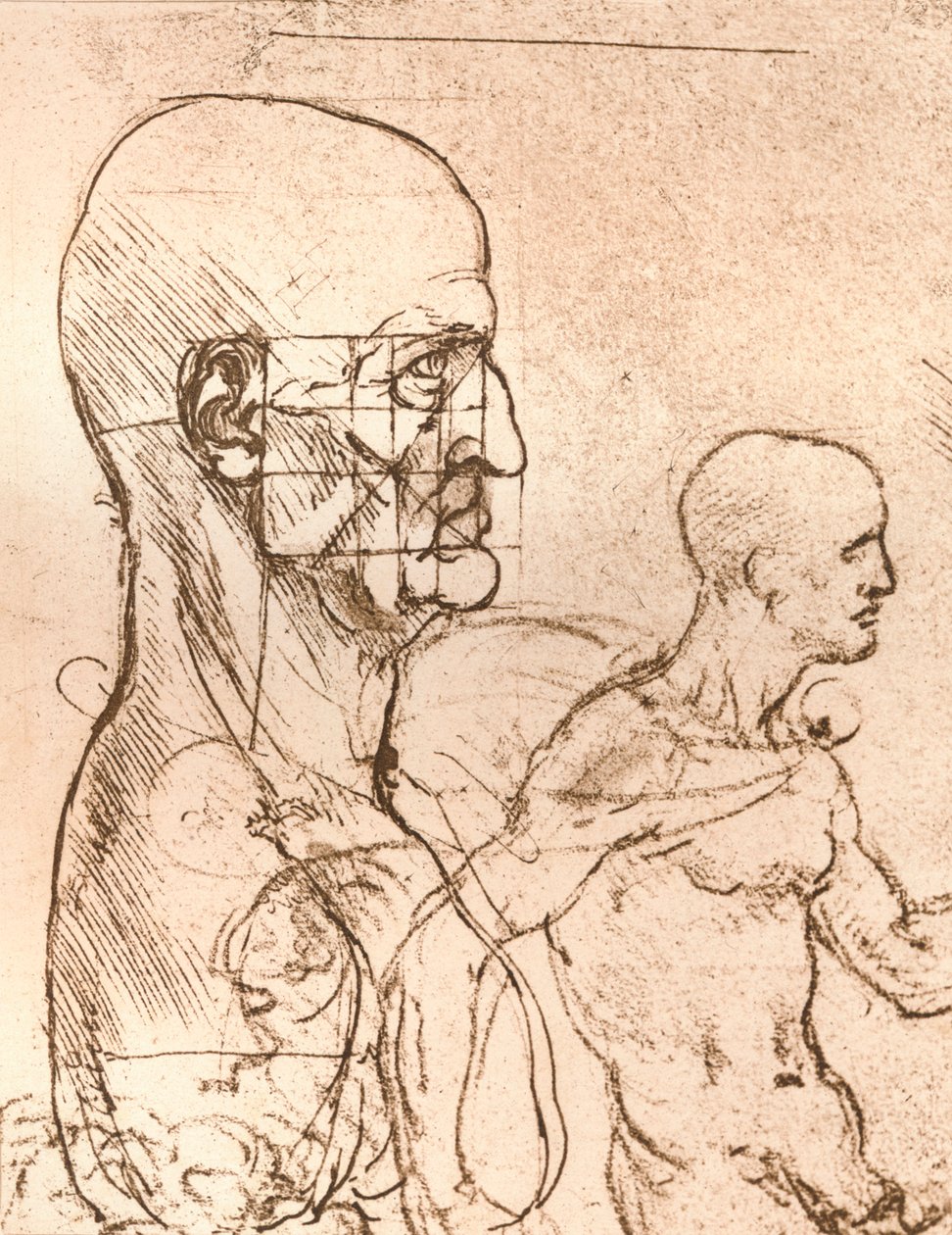 Kresba ilustrující teorii proporcí lidské postavy, c1472-c1519 1883 od Leonardo da Vinci