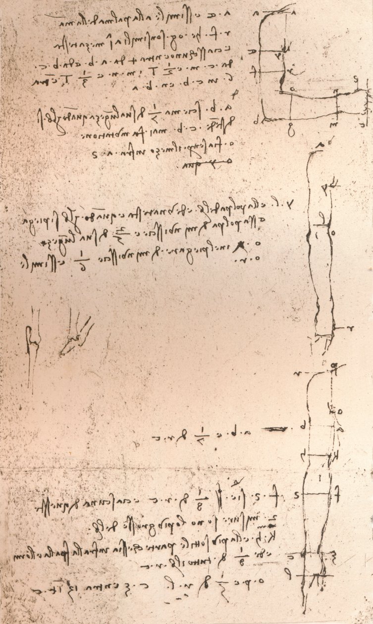 Kresba ilustrující teorii proporcí lidské postavy, c1472-c1519 1883 od Leonardo da Vinci