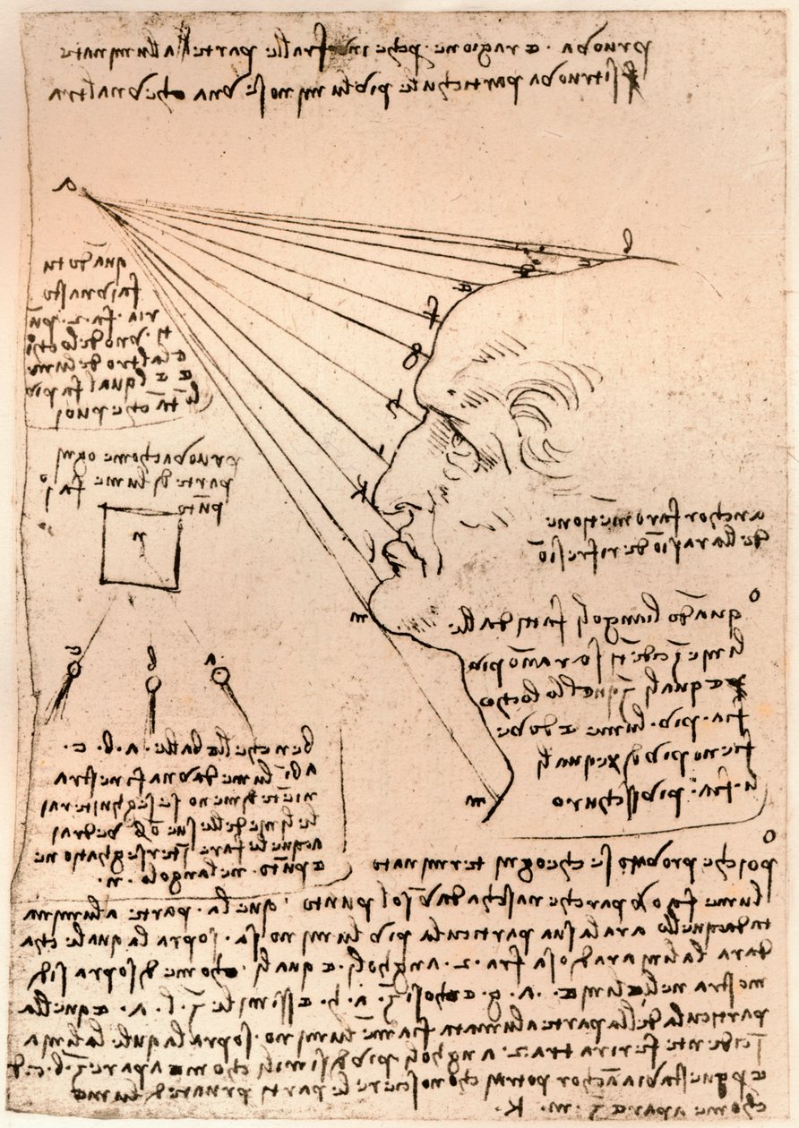 Kresba mužské hlavy, znázorňující praxi malby, c1472-c1519 1883 od Leonardo da Vinci