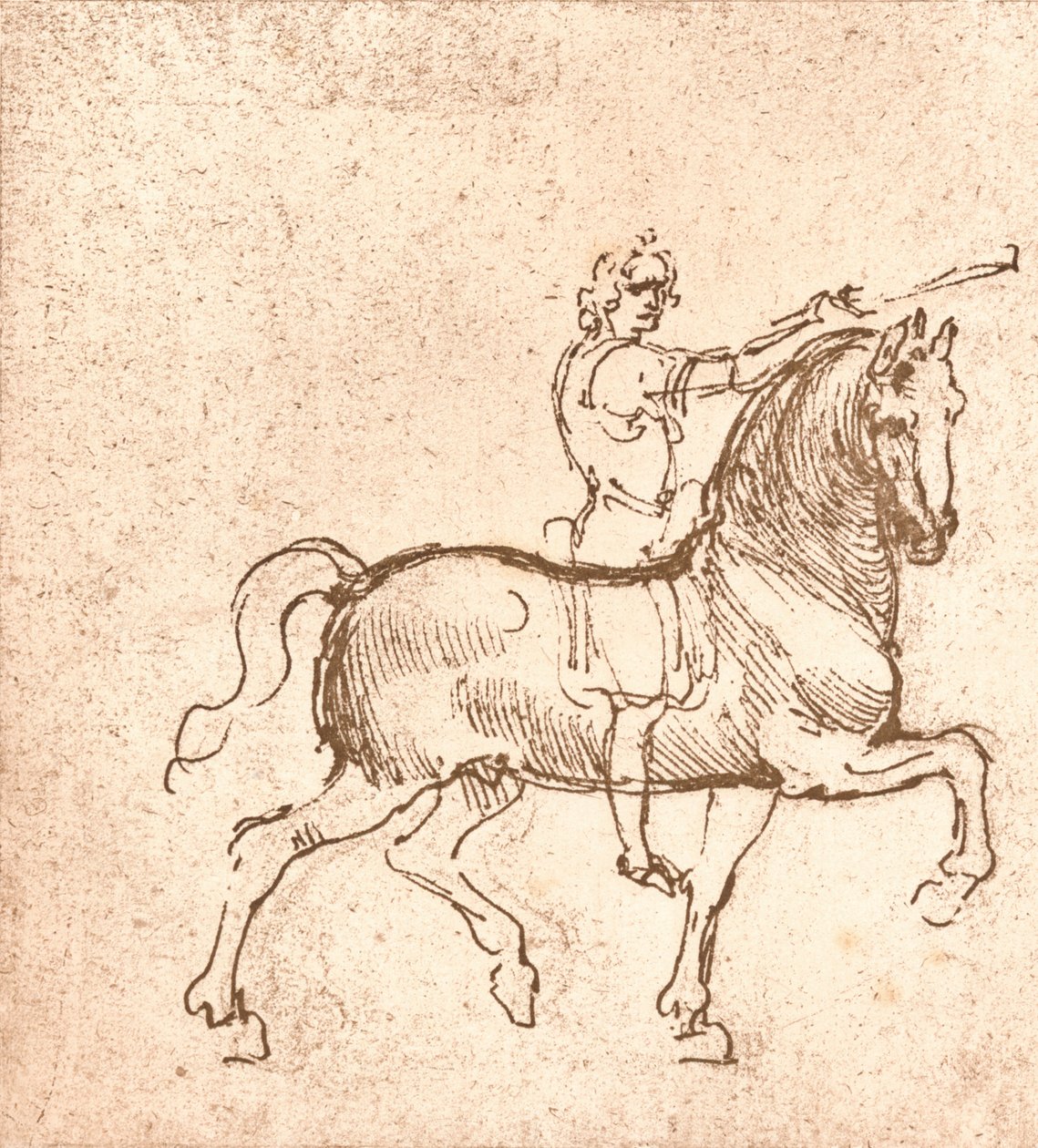 Kresba kráčejícího koně, c1472-c1519 1883 od Leonardo da Vinci