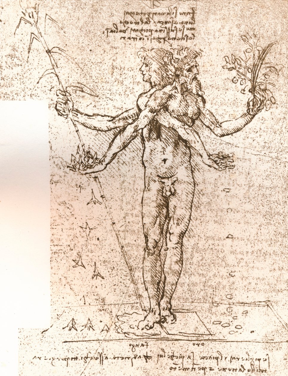 Kresba alegorické kompozice, c1472-c1519 1883 od Leonardo da Vinci