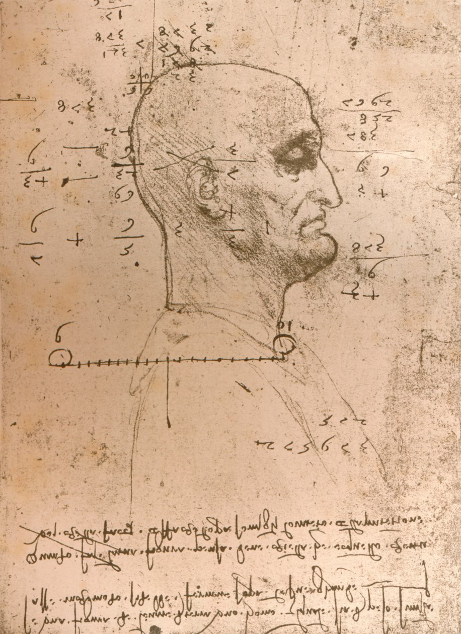 Kresba hlavy zločince, c1472-c1519 1883 od Leonardo da Vinci