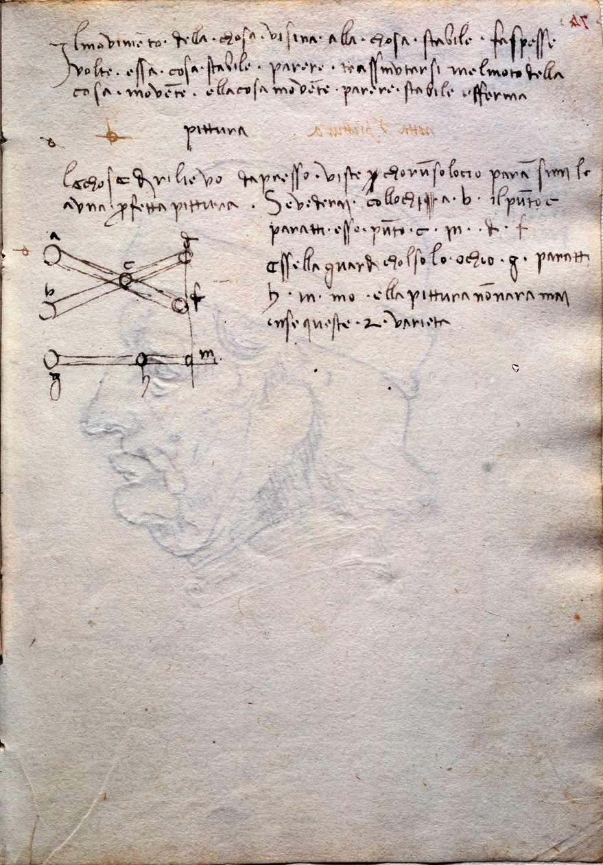 Výňatek z knihy obrazů, z Codex Trivulzianus od Leonardo da Vinci