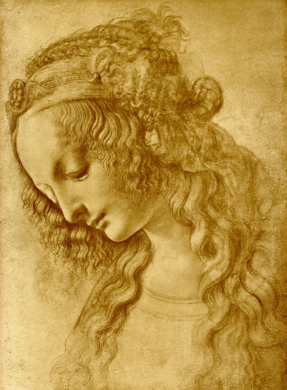 Ženská hlava od Leonardo da Vinci