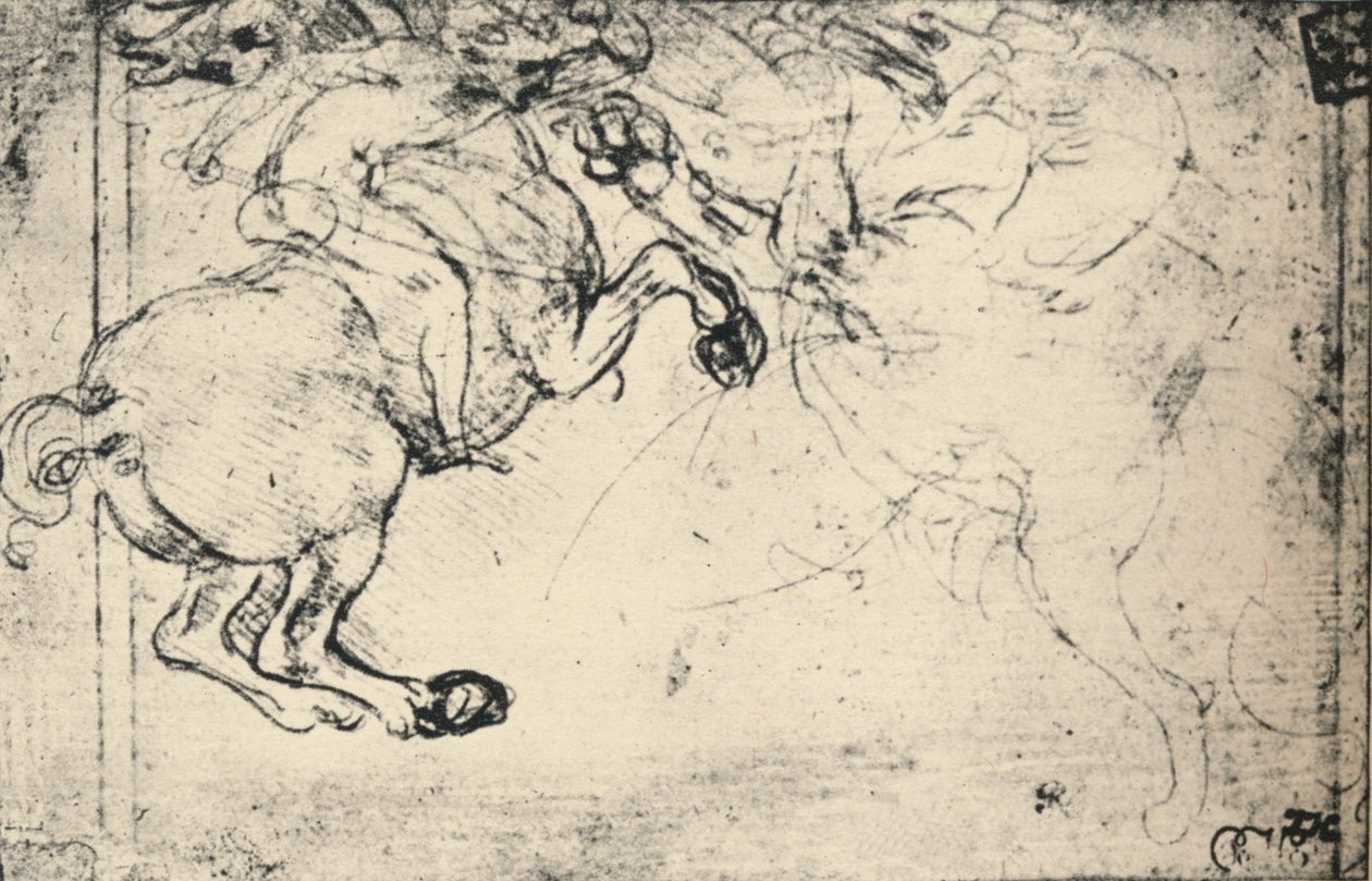 Boj mezi jezdcem a Griffinem, c1480 1945 od Leonardo da Vinci