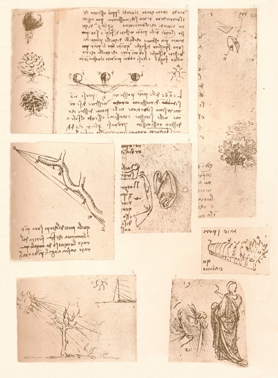 Pět kreseb ilustrujících prvky krajinomalby, c1472-c1519 1883 od Leonardo da Vinci