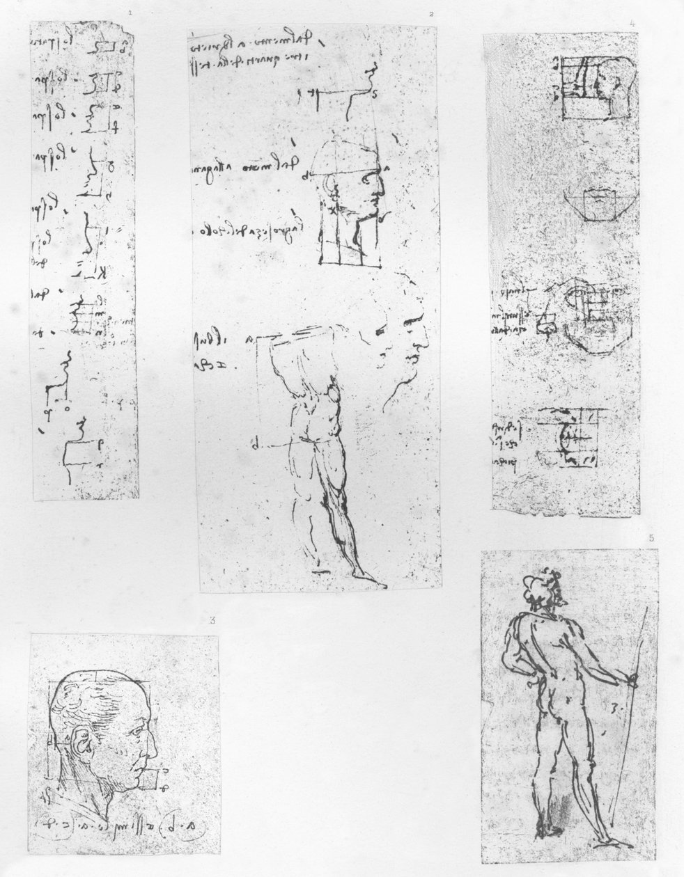Pět kreseb ilustrujících teorii proporcí lidské postavy, c1472-c1519 1883 od Leonardo da Vinci