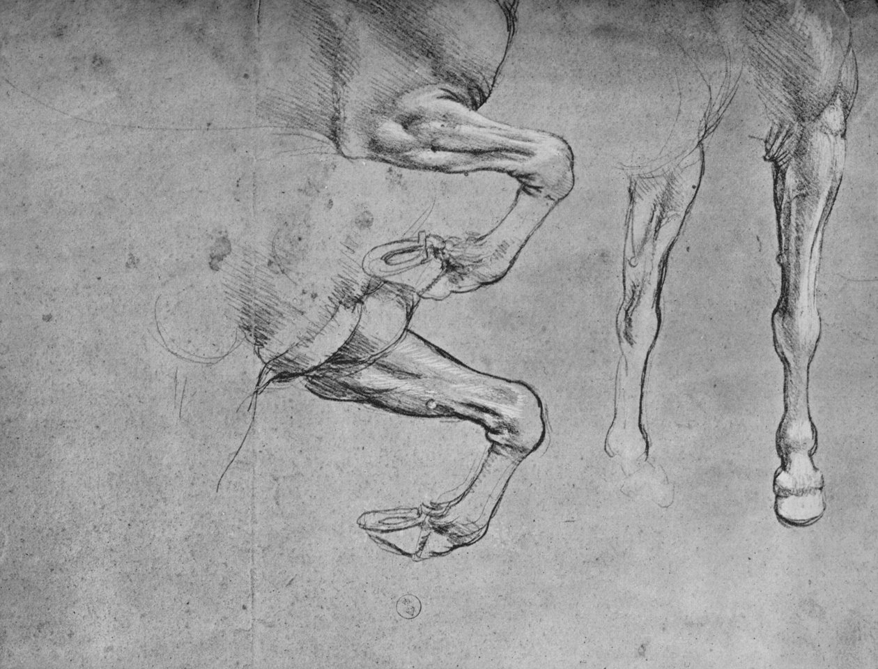 Čtyři studie koňských nohou, c1480 1945 od Leonardo da Vinci