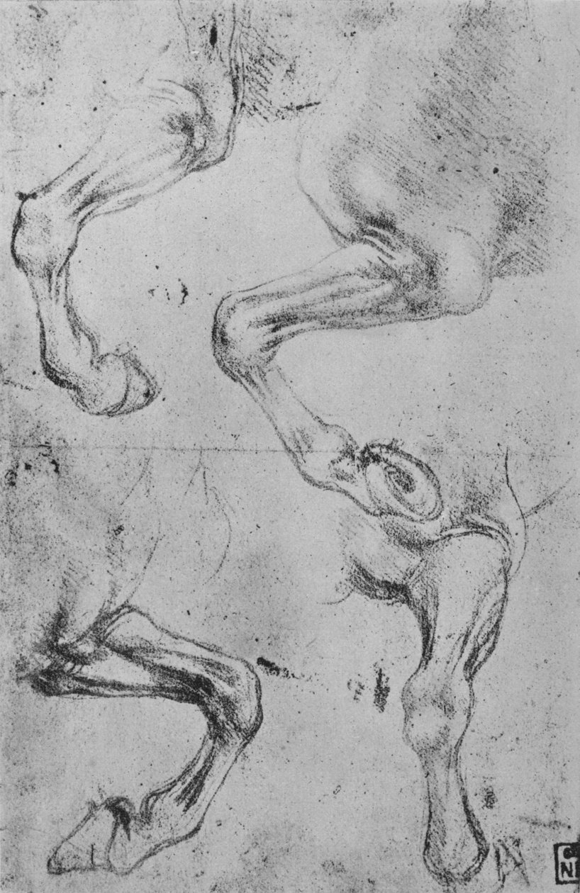 Čtyři studie koňských nohou, c1480 1945 od Leonardo da Vinci