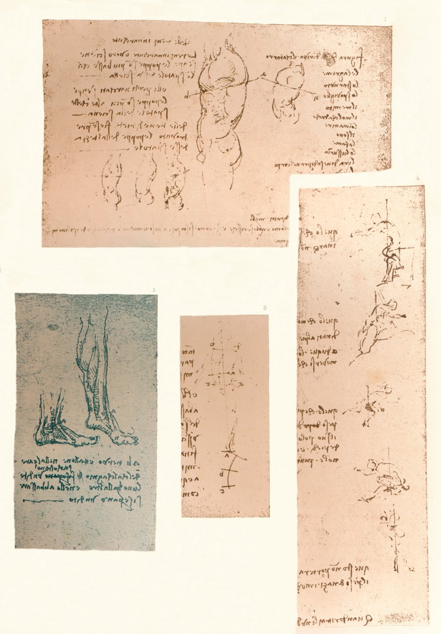 Čtyři kresby ilustrující teorii pohybů lidské postavy, c1472-c1519 1883 od Leonardo da Vinci