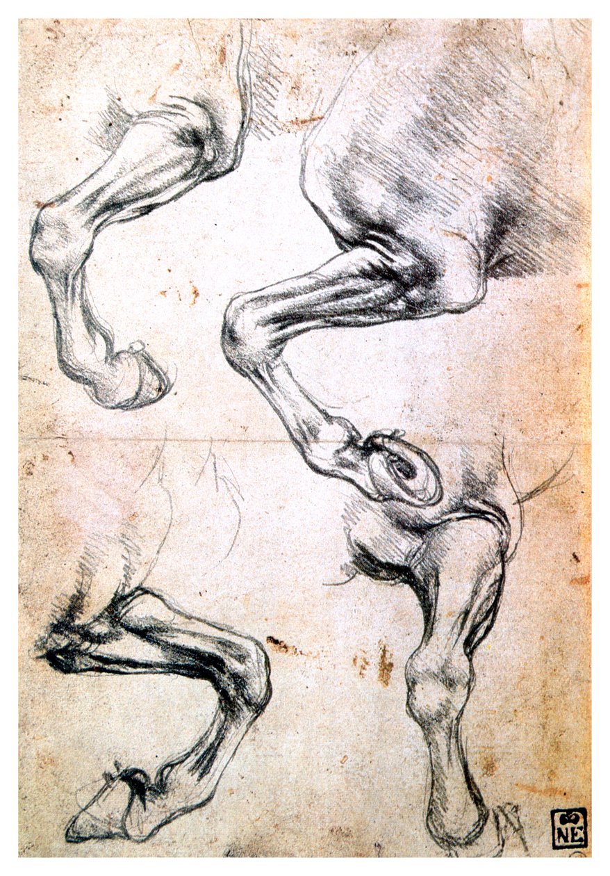 Čtyři studie koňských nohou, c1500 od Leonardo da Vinci