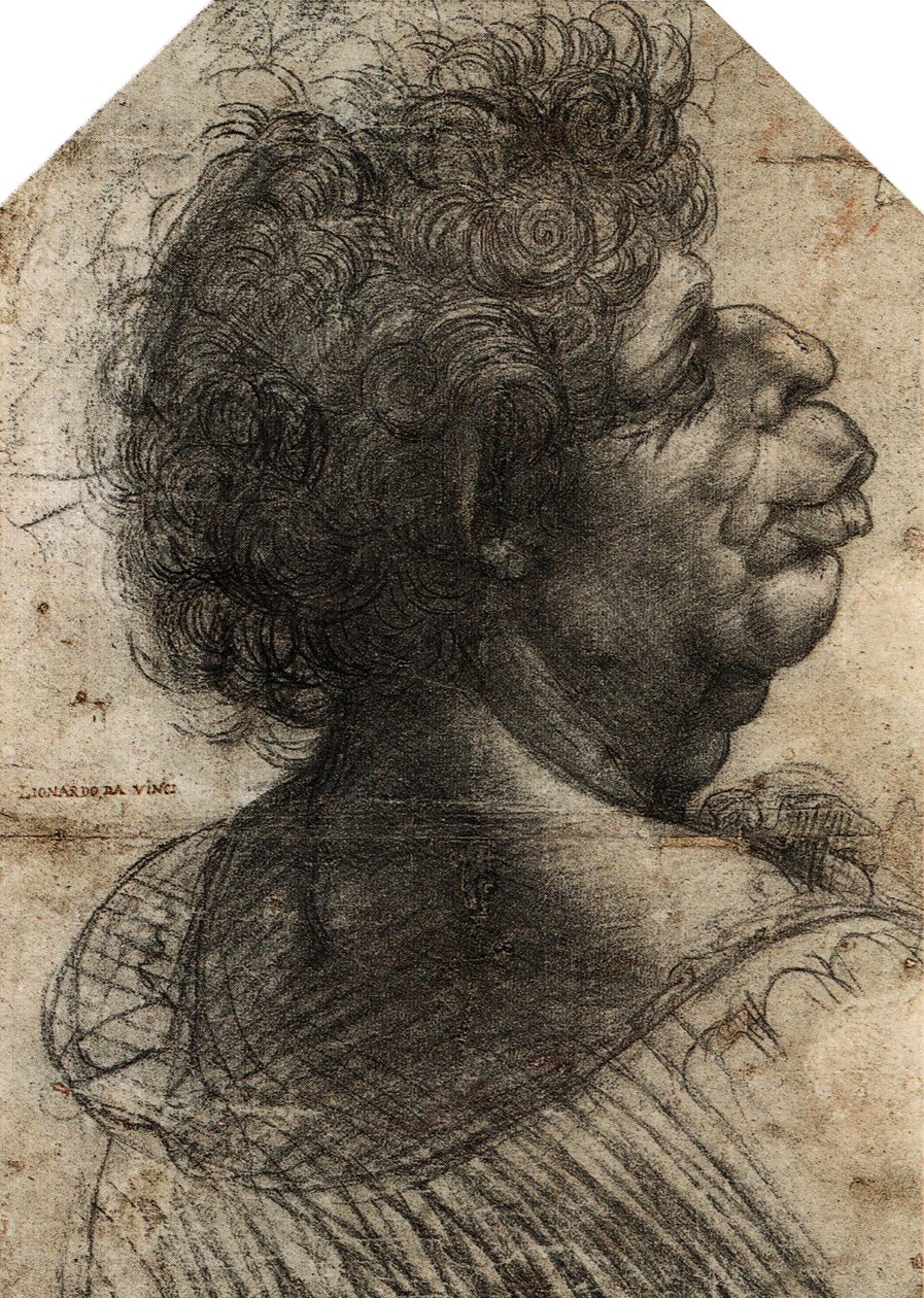 Francouzsky: Tête grotesque Groteskní hlava od Leonardo da Vinci