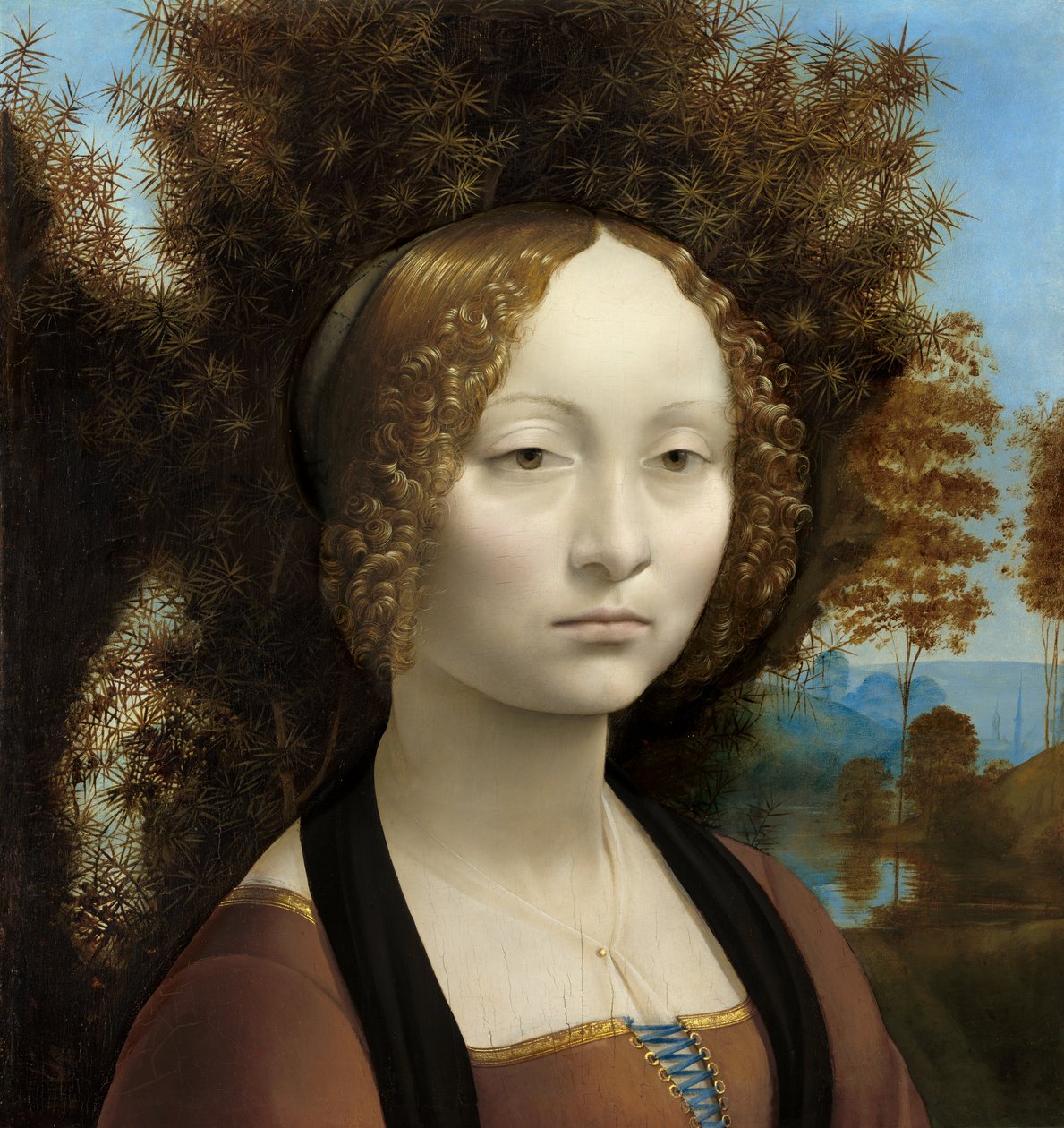 Ginevra de Hate od Leonardo da Vinci