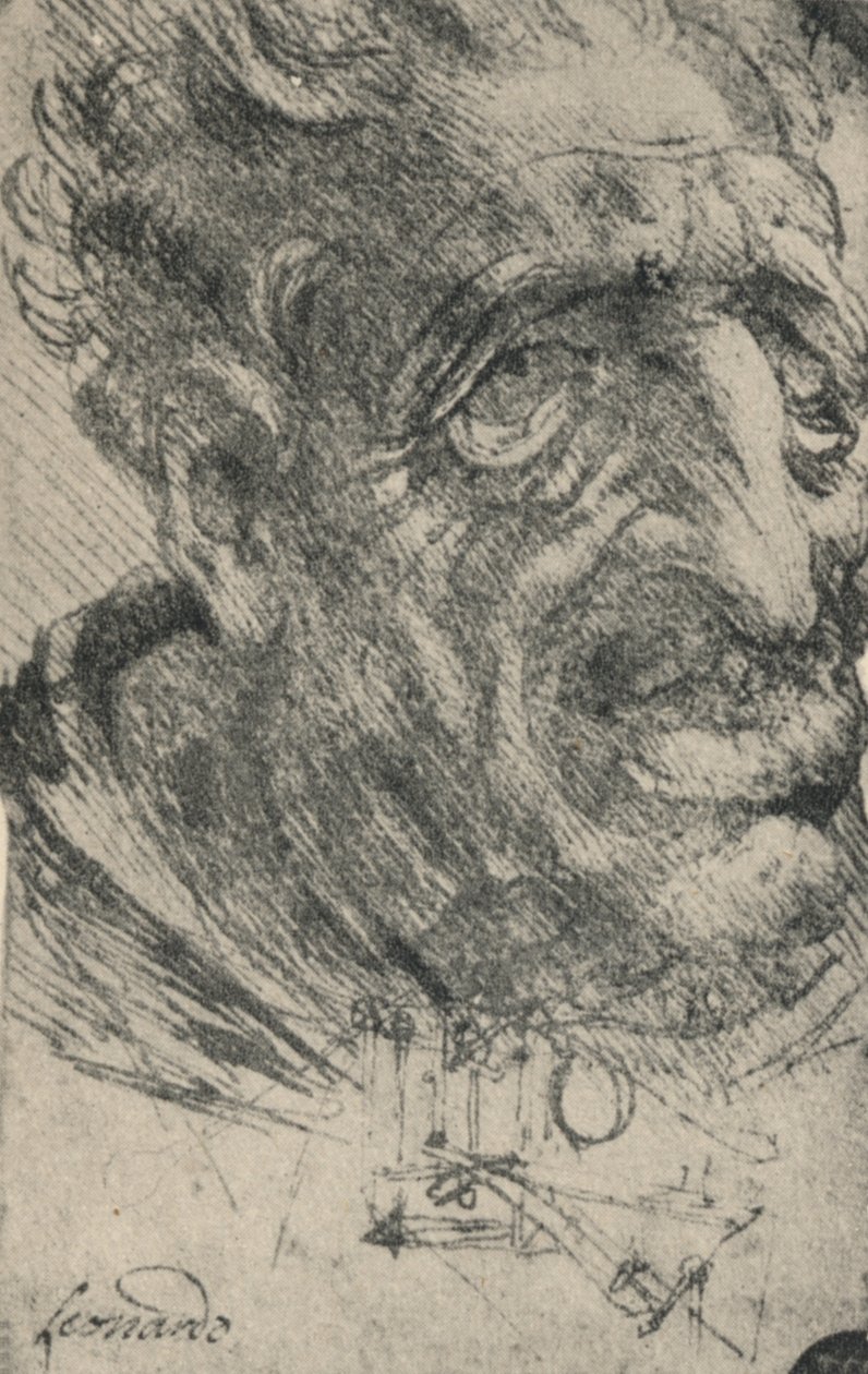 Groteskní hlava muže otočená o tři čtvrtiny doprava, c1480 1945 od Leonardo da Vinci