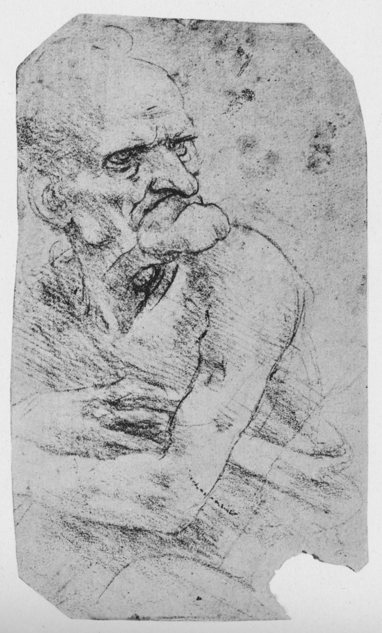 Poloviční karikatura starého muže s výraznou bradou, c1480 1945 od Leonardo da Vinci