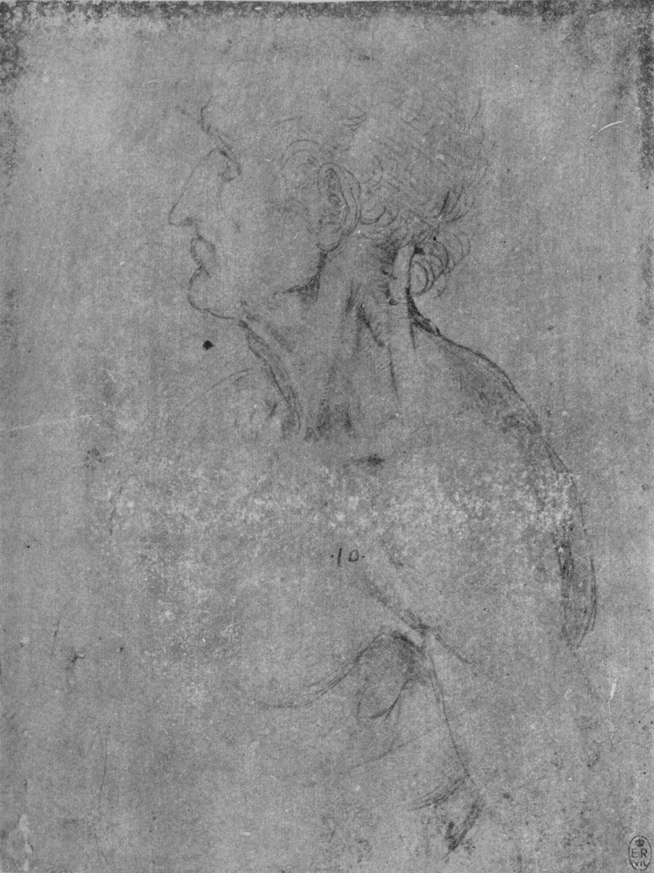 Hlava a busta starého muže nalevo, c1480 1945 od Leonardo da Vinci
