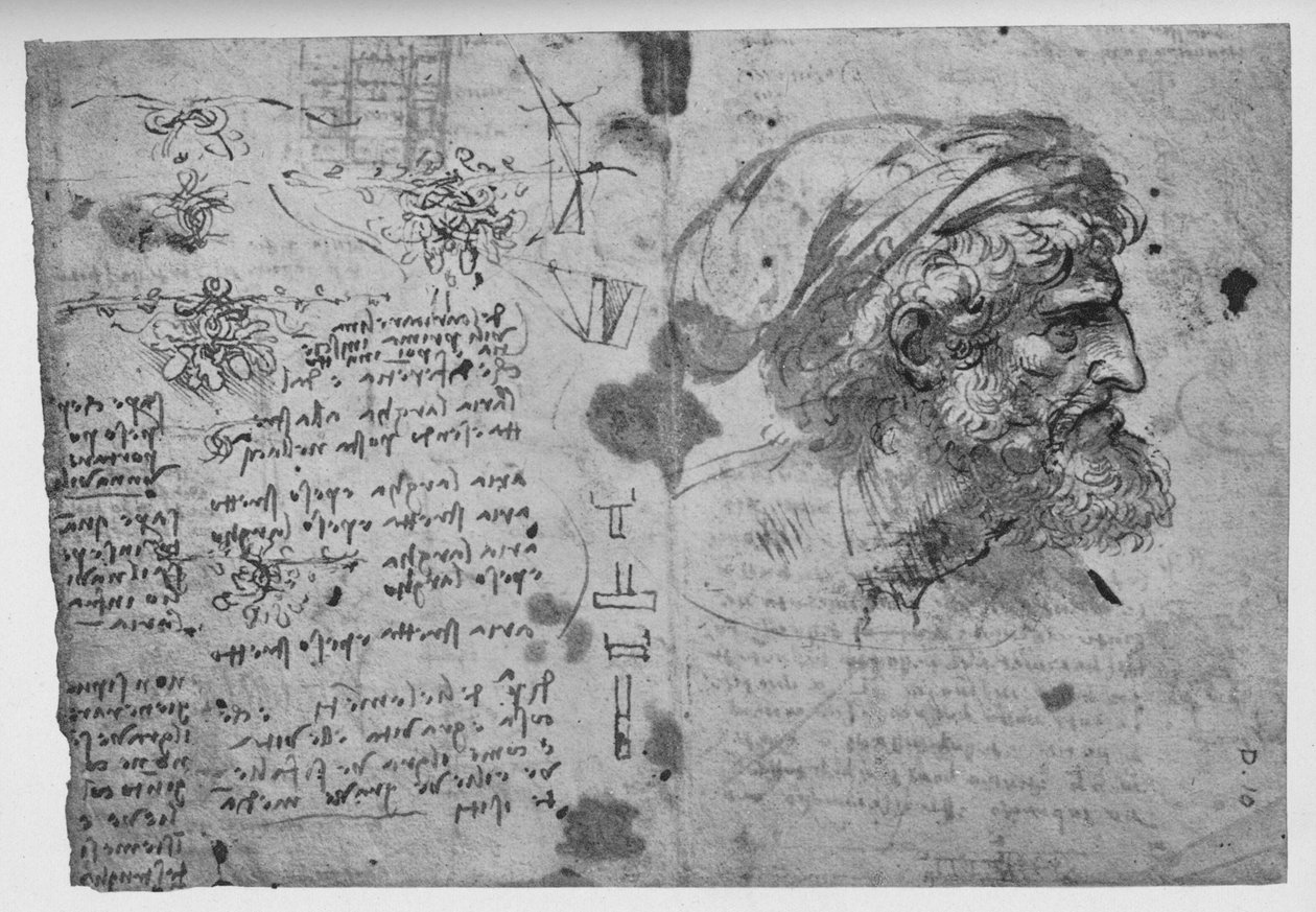 Hlava a ramena vousatého muže, c1480 1945 od Leonardo da Vinci