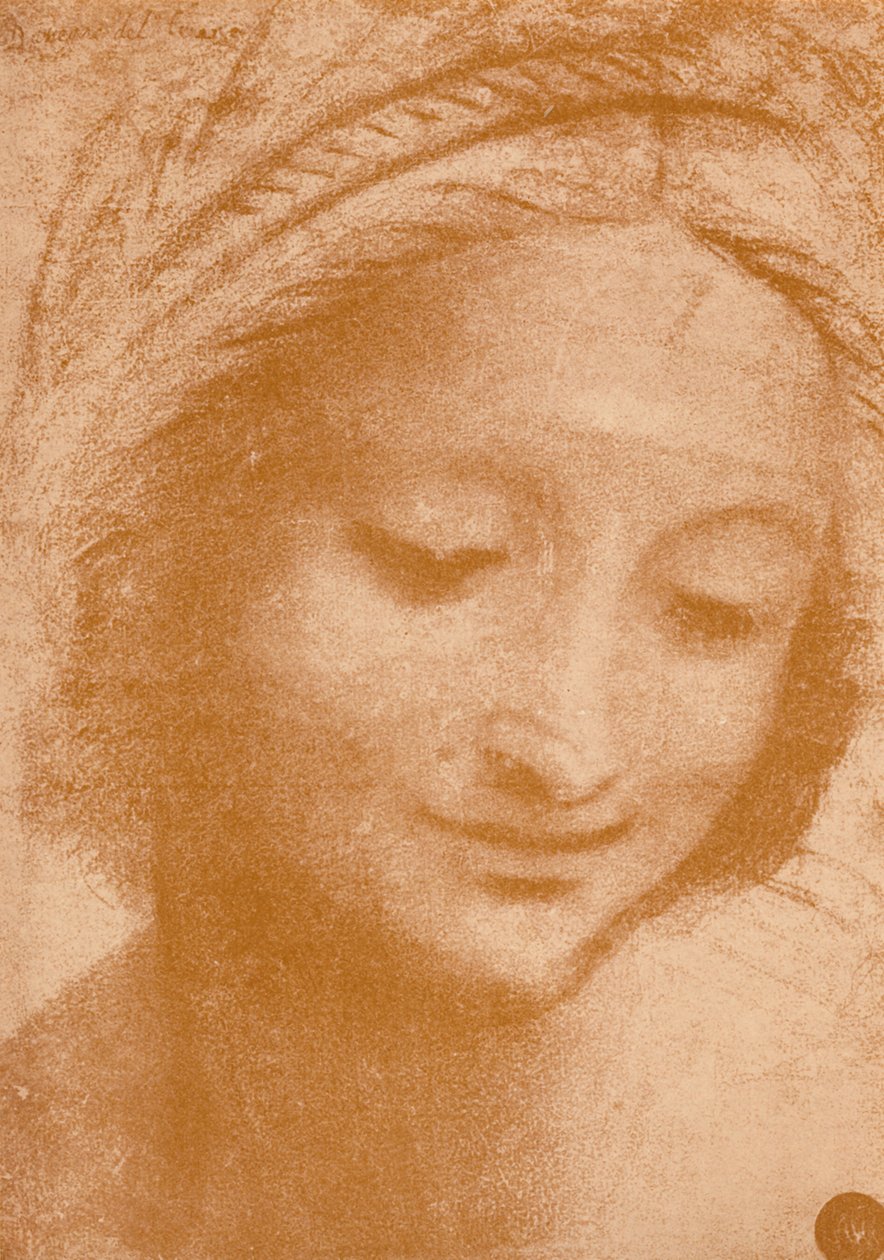 Hlava ženy, 15. století, 1932 od Leonardo da Vinci