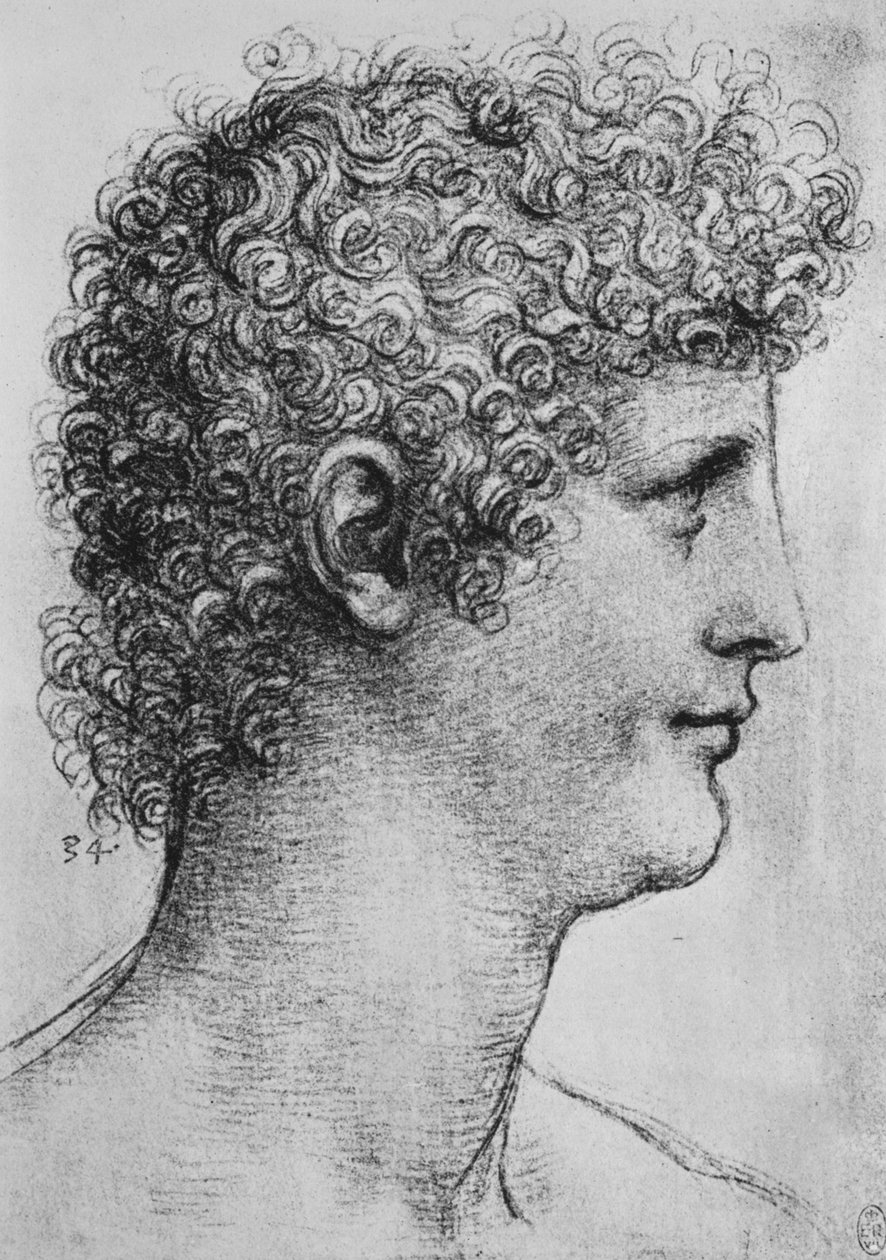 Vedoucí mládeže v profilu vpravo, c1480 1945 od Leonardo da Vinci