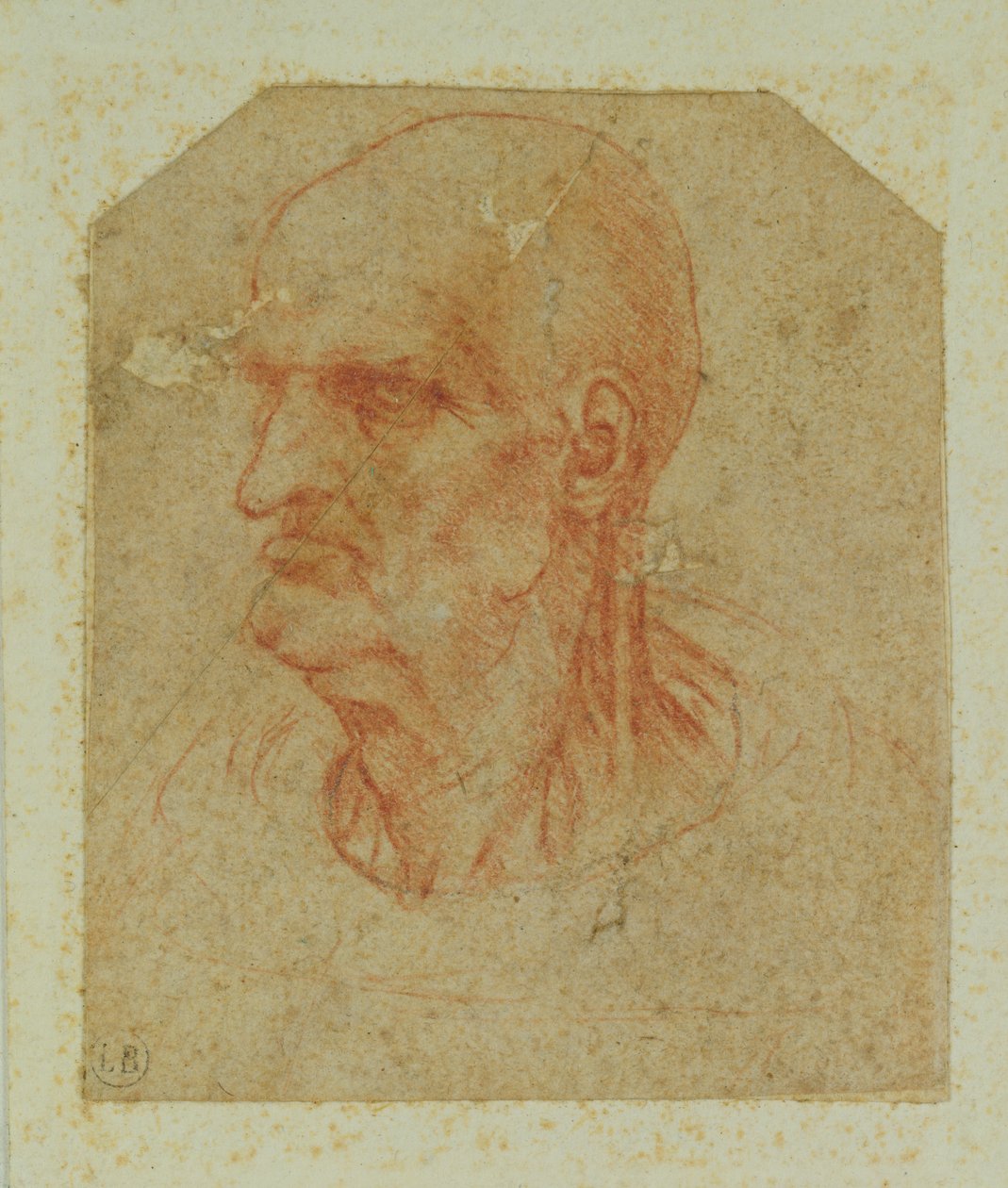 Hlava bezvousého starého muže, levý profil (červená křída na papíře) od Leonardo da Vinci