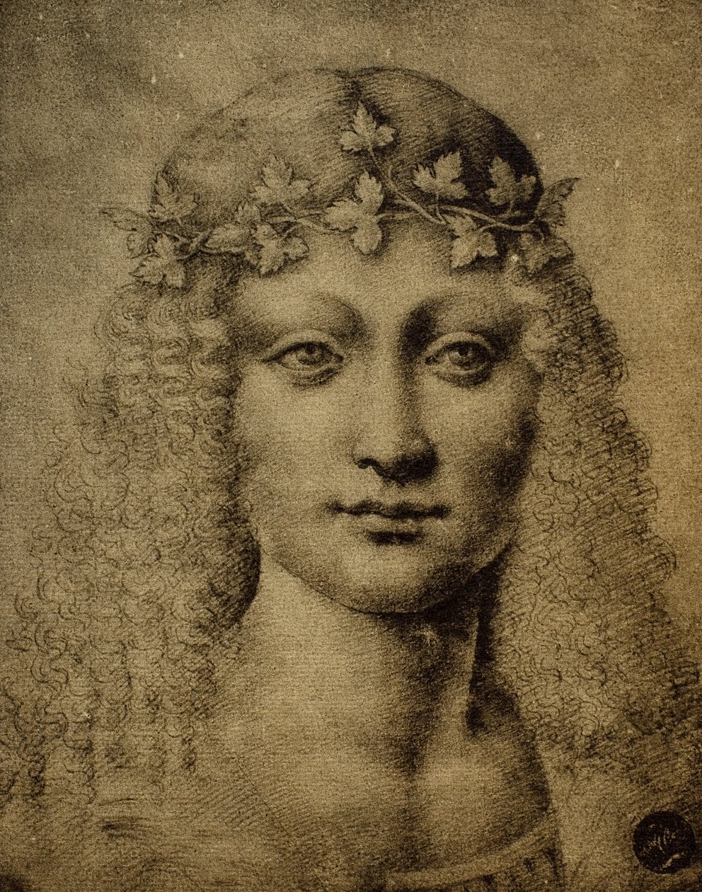 Hlava dívky nebo mladého Bakcha; kresba Leonarda da Vinciho. Gallerie dell