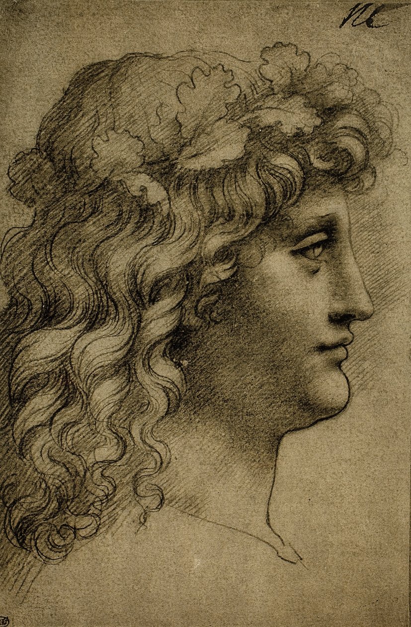 Hlava mladého muže; kresba Leonarda da Vinciho. Louvre, Paříž od Leonardo da Vinci