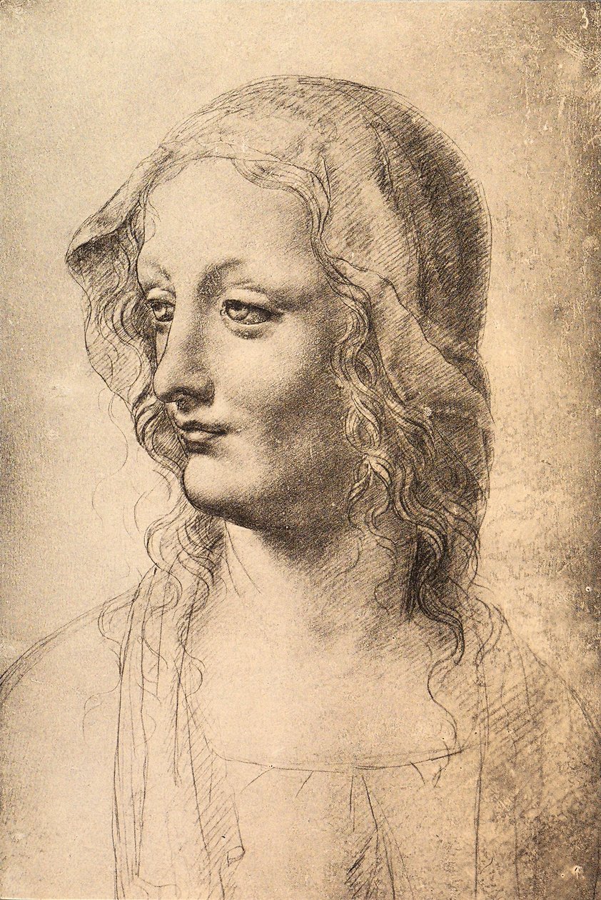 Hlava mladé ženy, kresba Leonardo da Vinci, Gabinetto dei Disegni e Stampe, Uffizi, Florencie od Leonardo da Vinci