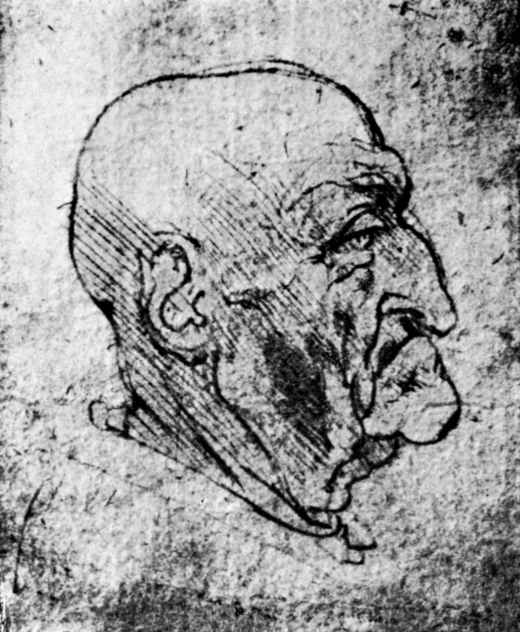 Hlava starého muže, 1913 od Leonardo da Vinci