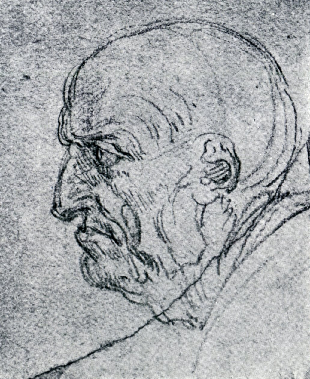Hlava starého muže, 1913 od Leonardo da Vinci