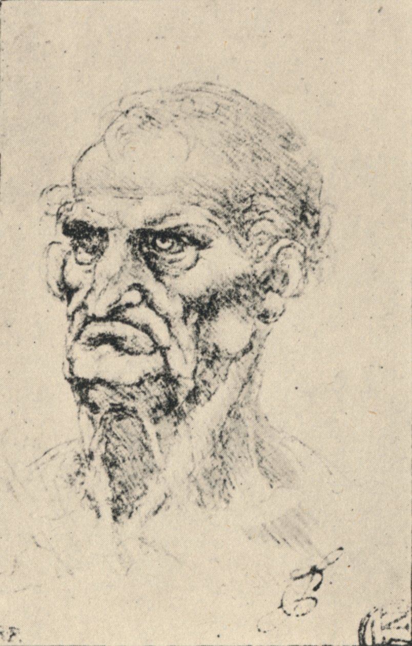 Hlava starého muže tři čtvrtiny doleva, c1480 1945 od Leonardo da Vinci
