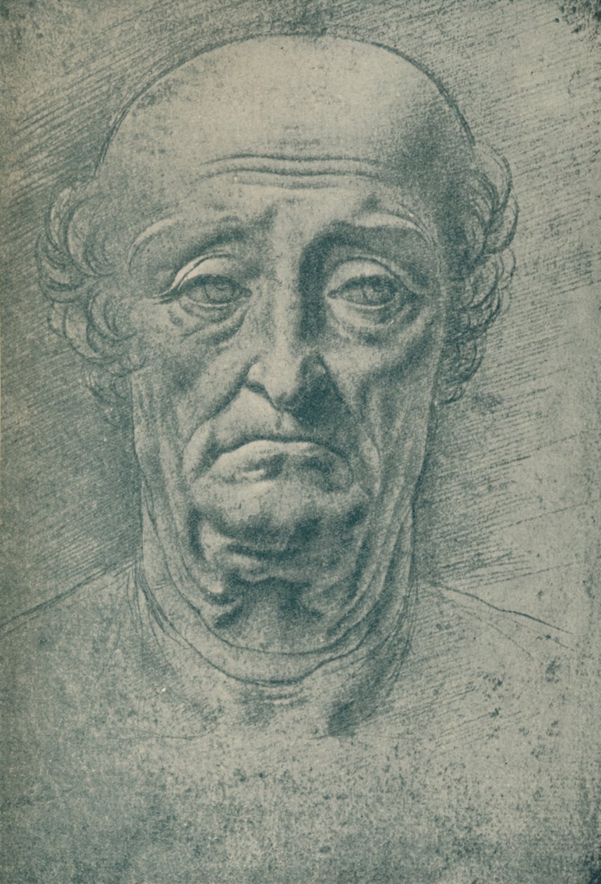Hlava starého muže, 15. století, 1932 od Leonardo da Vinci