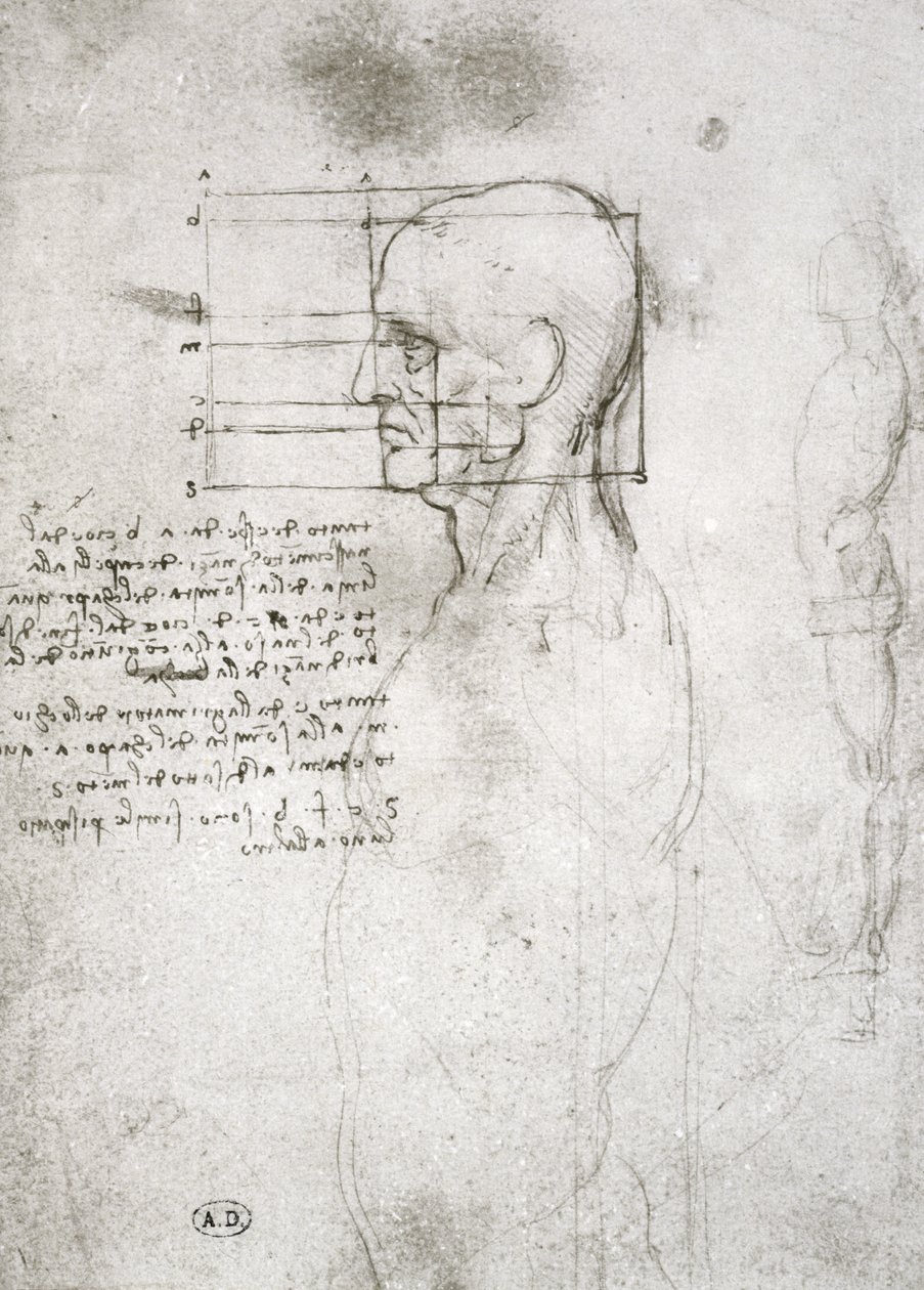 Hlava starého muže z profilu, faksimile kopie (pero a inkoust na papíře) od Leonardo da Vinci