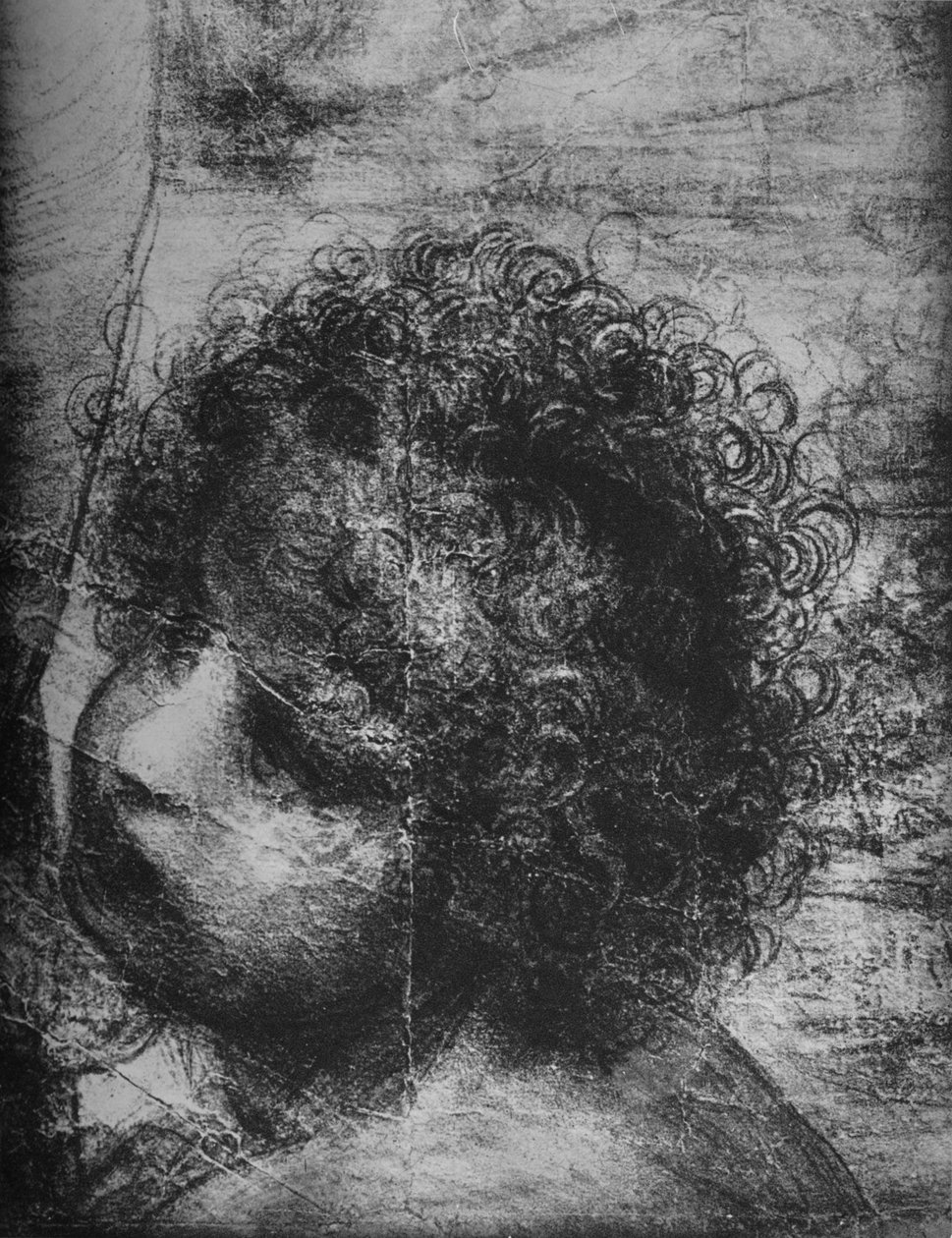 Hlava Nemluvně sv. Jana - Panna a dítě se svatou Annou a Nemluvně sv. Jana, c1480 1945 od Leonardo da Vinci