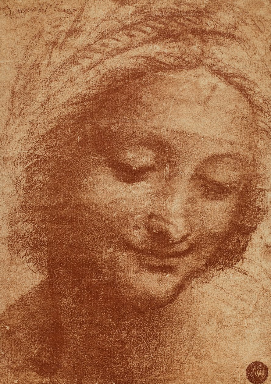 Hlava ženy nebo SantAnny, kresba Leonarda da Vinciho, studie pro hlavu Sant Anny maluje Madona s dítětem a Sant Anna nyní v Louvru. Návrh je umístěn v Gallerie dellA od Leonardo da Vinci