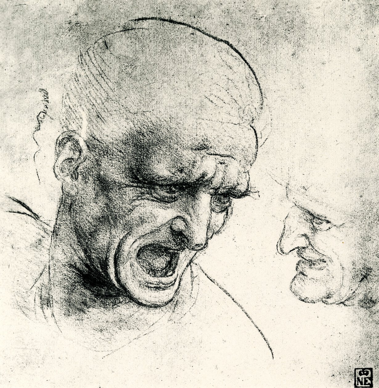 Studium hlavy od Leonardo da Vinci