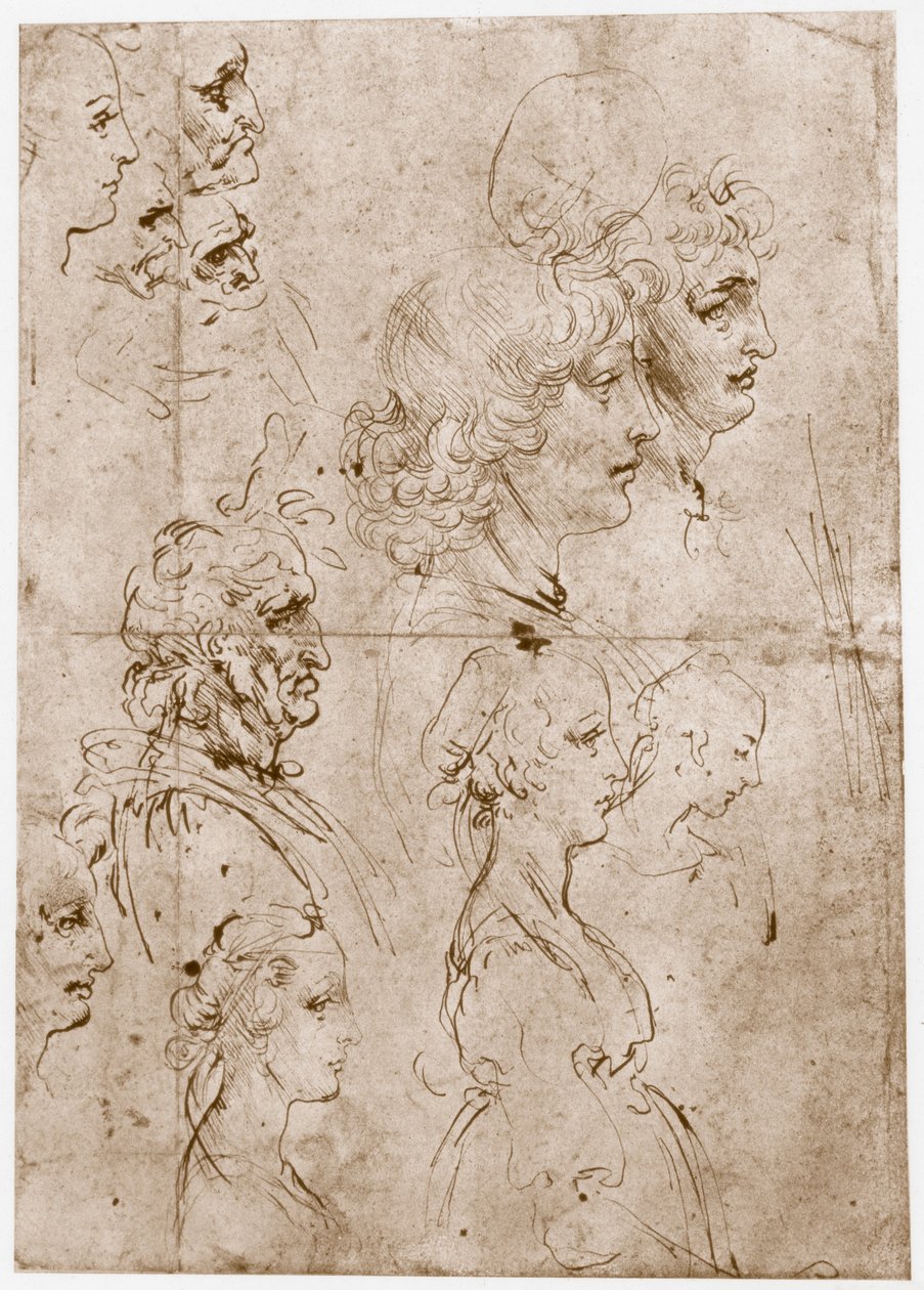 Hlavy dívek, mladých a starých mužů, 1478-1480 od Leonardo da Vinci