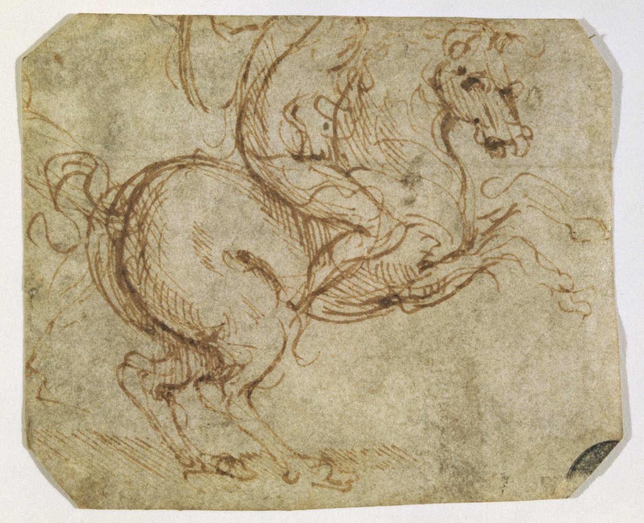 Kůň a kavalír (pero a inkoust na papíře) od Leonardo da Vinci