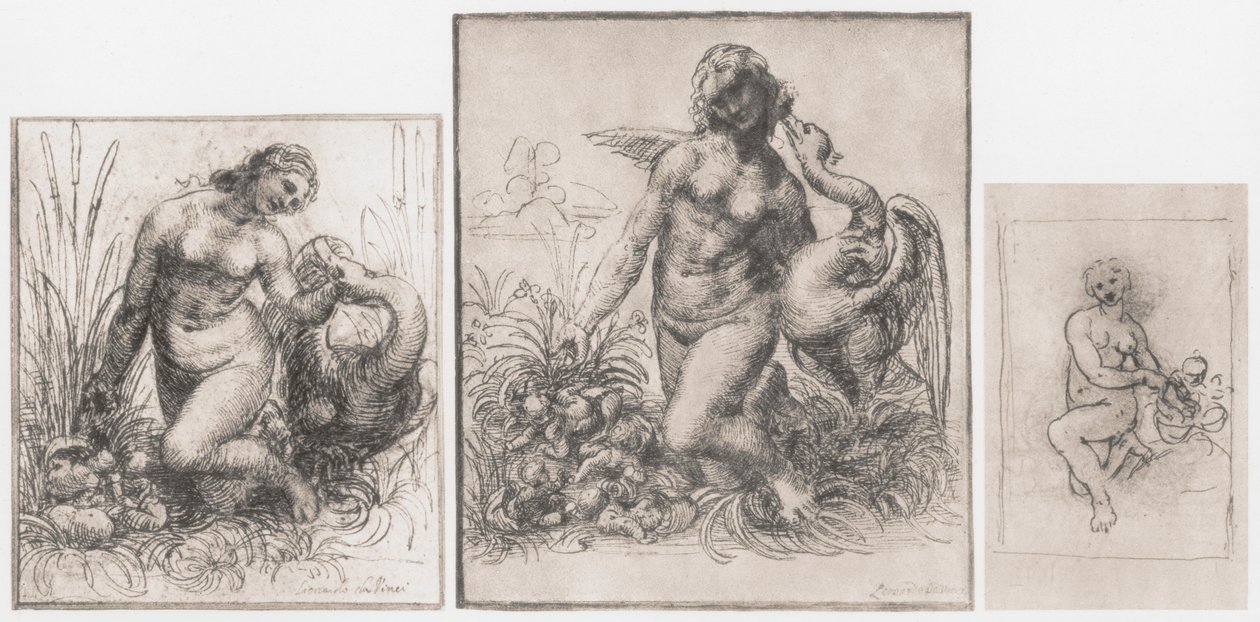 Leda a labuť, c1504-1506 od Leonardo da Vinci