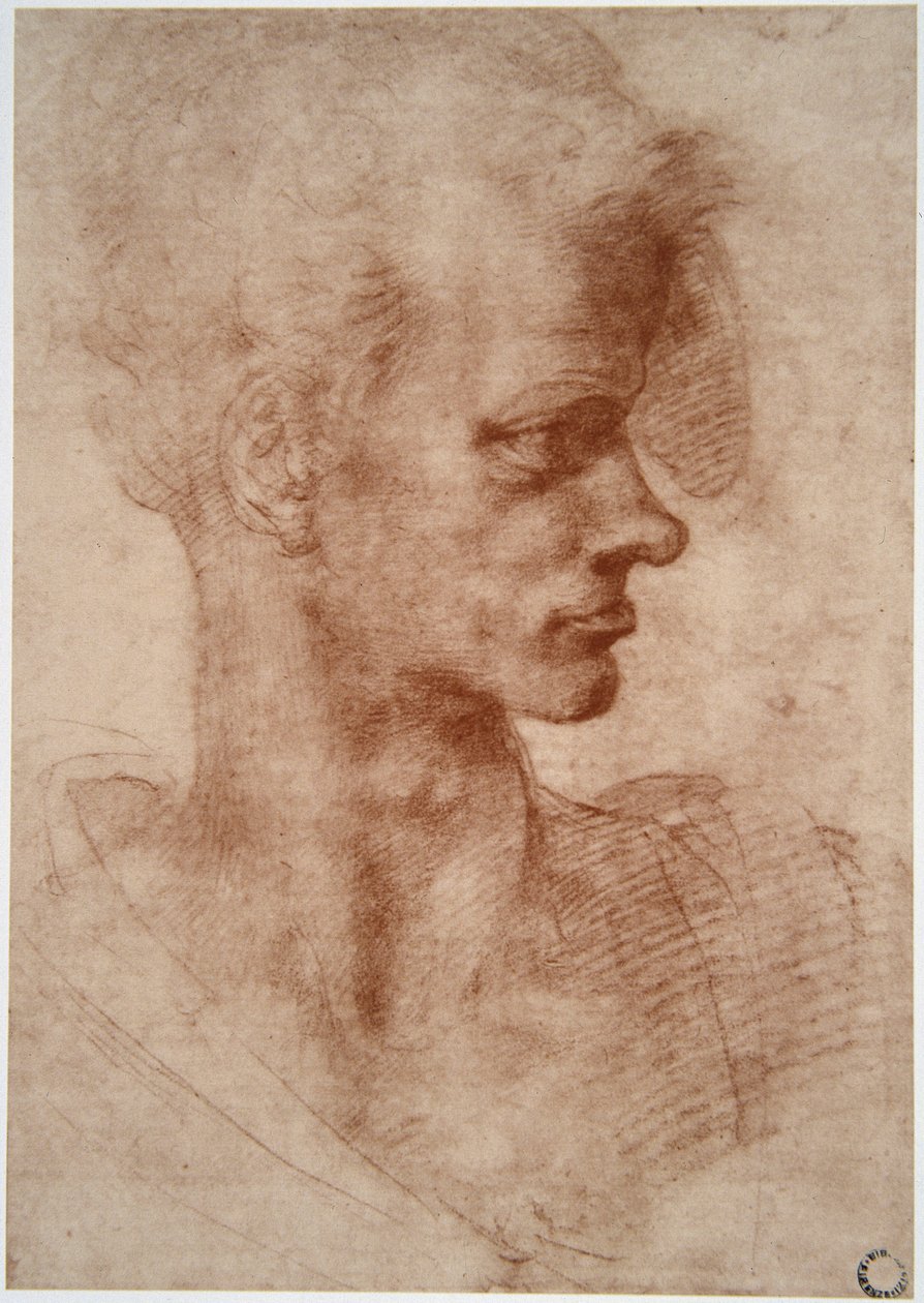 Leonardo da Vinci (Leonardo da Vinci) (1452 - 1519): Karikaturní portrét mladého muže (Imagine) od Leonardo da Vinci