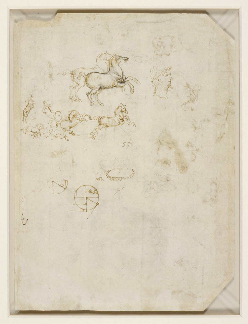 Leonardo da Vinci - Verso Koně a hlava Nerona kolem roku 1503-4 od Leonardo da Vinci