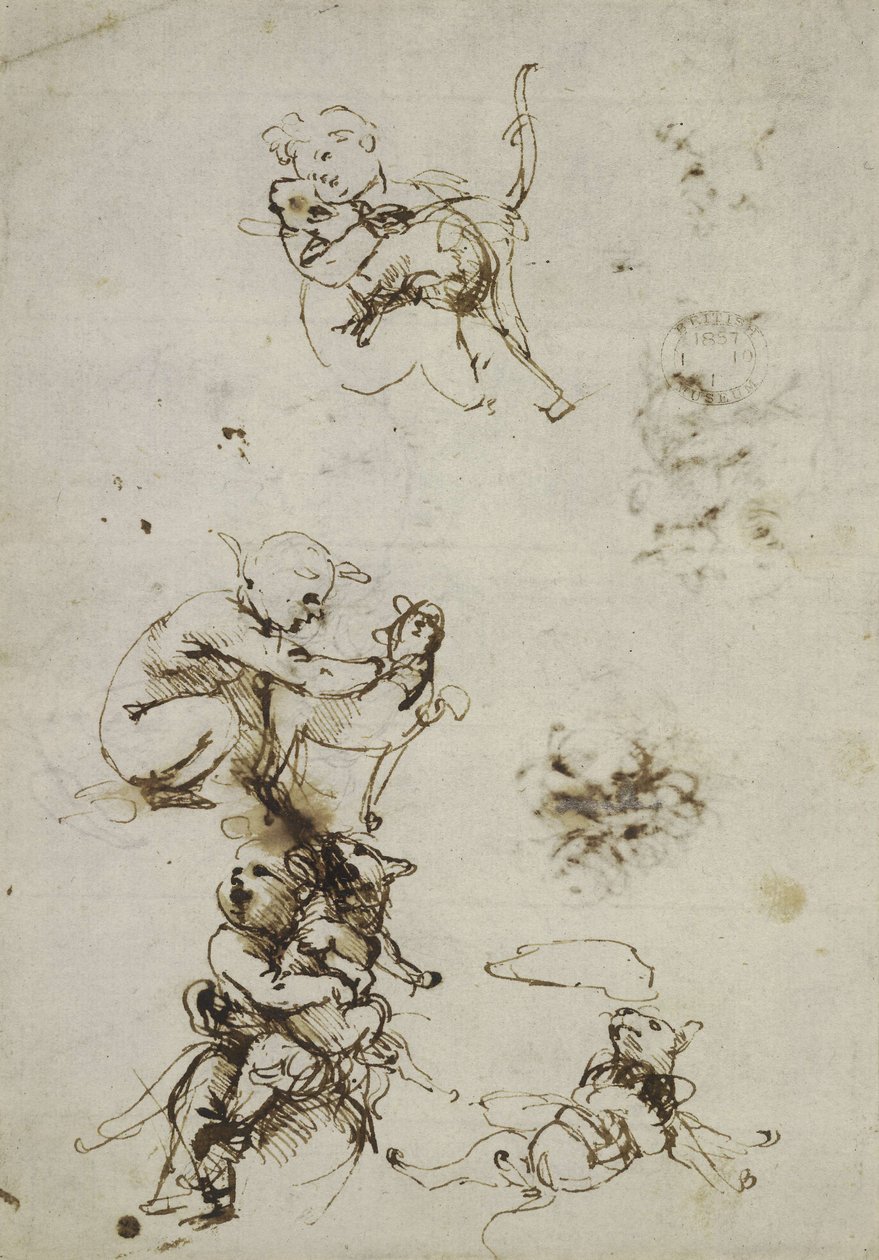 Leonardo da Vinci, objekt 1857,0110.1 - recto (British Museum) od Leonardo da Vinci