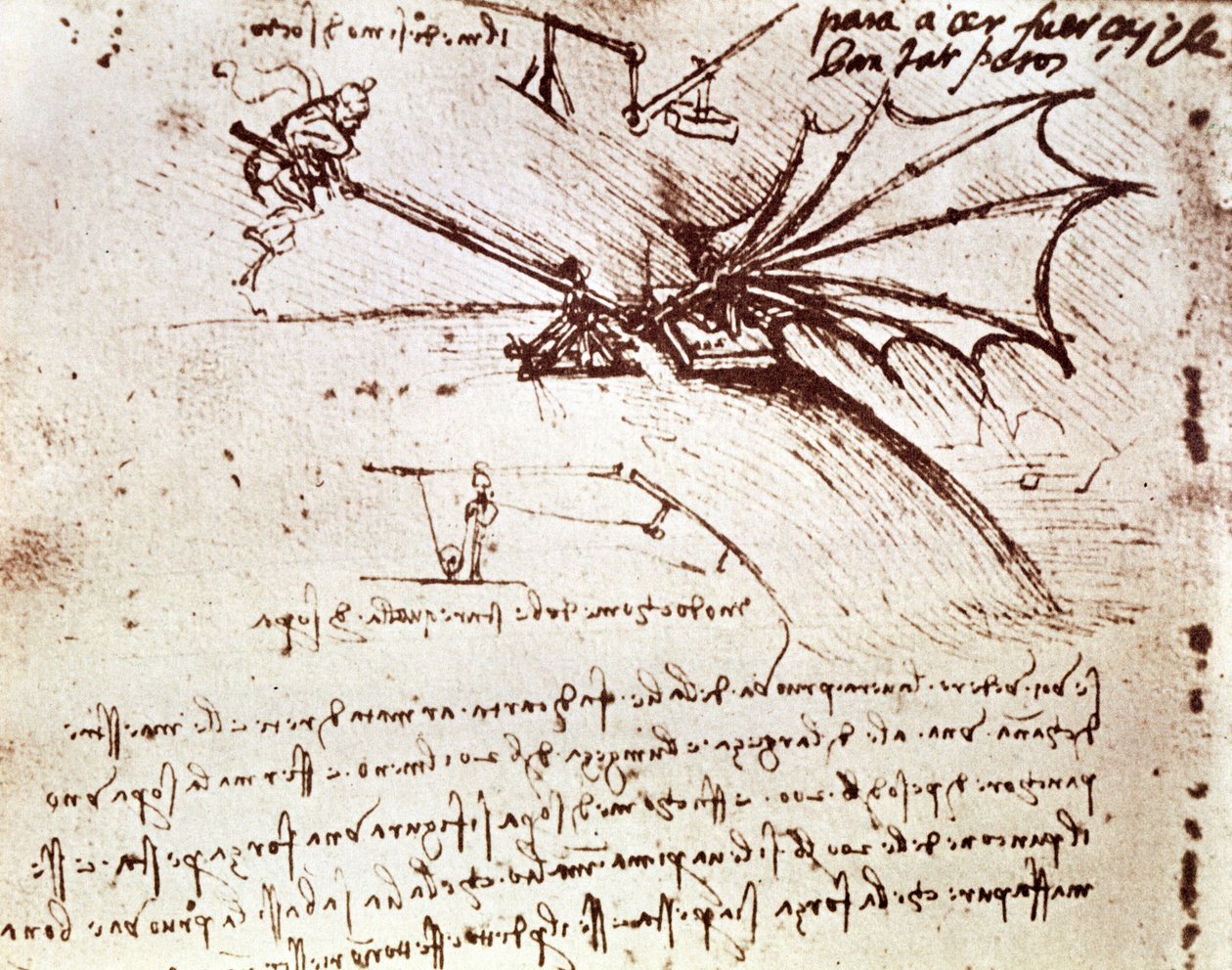 MS B fol.88v Testování tolerance zatížení křídla od Leonardo da Vinci