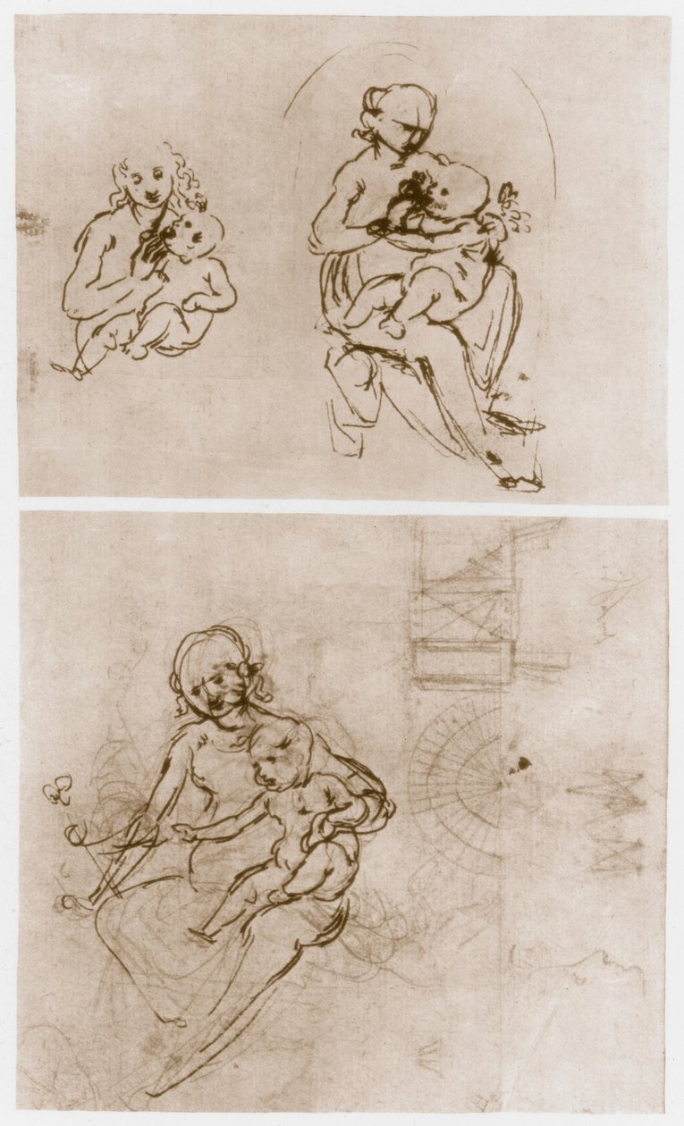 Madonna s květinou, c1478. od Leonardo da Vinci