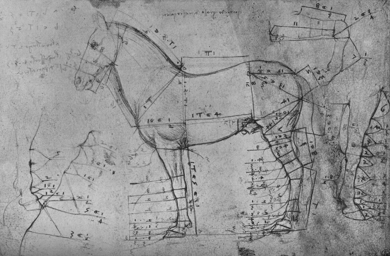 Měřená kresba koně v profilu vlevo, c1480 1945 od Leonardo da Vinci
