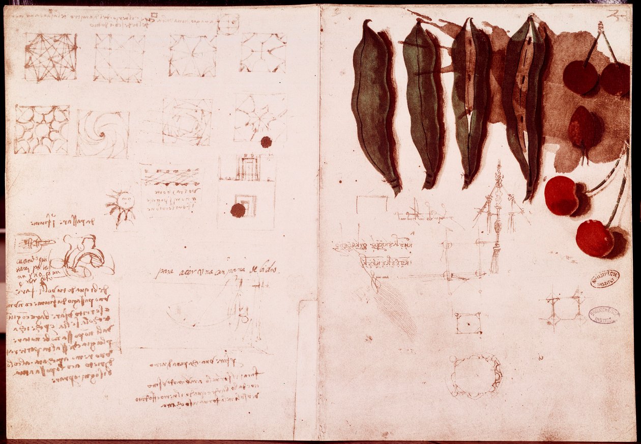 Závěsný od Leonardo da Vinci