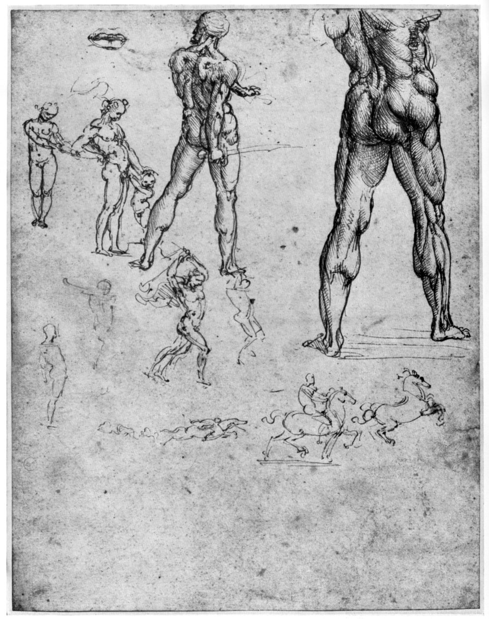 Studie aktu pro bitvu o Anghiari, c1503-1505 1954 od Leonardo da Vinci