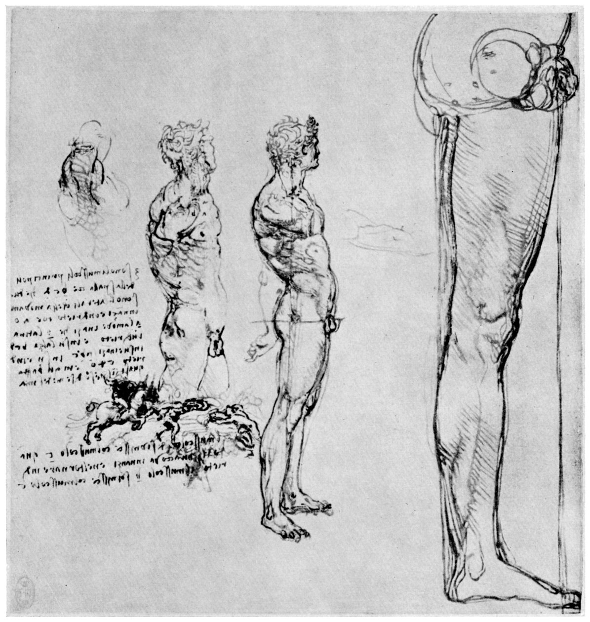 Studie aktu pro bitvu o Anghiari, c1503-1505 1954 od Leonardo da Vinci