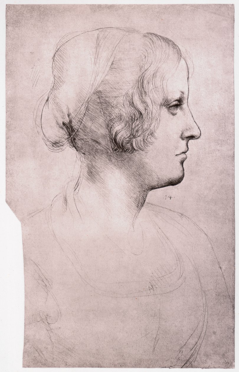 Portrét dívky s čepicí, 1493-1495 od Leonardo da Vinci