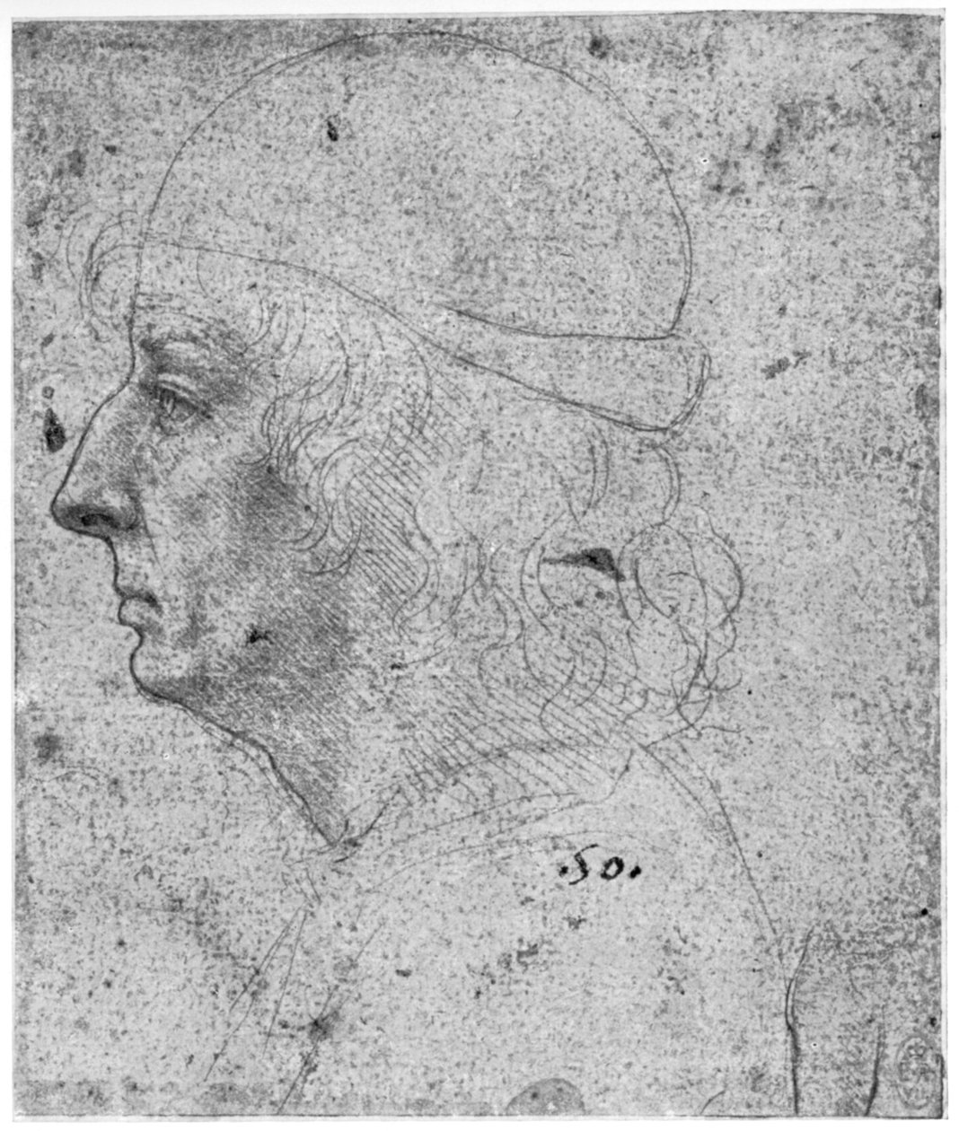 Portrétní studie muže, 15. století 1954. od Leonardo da Vinci
