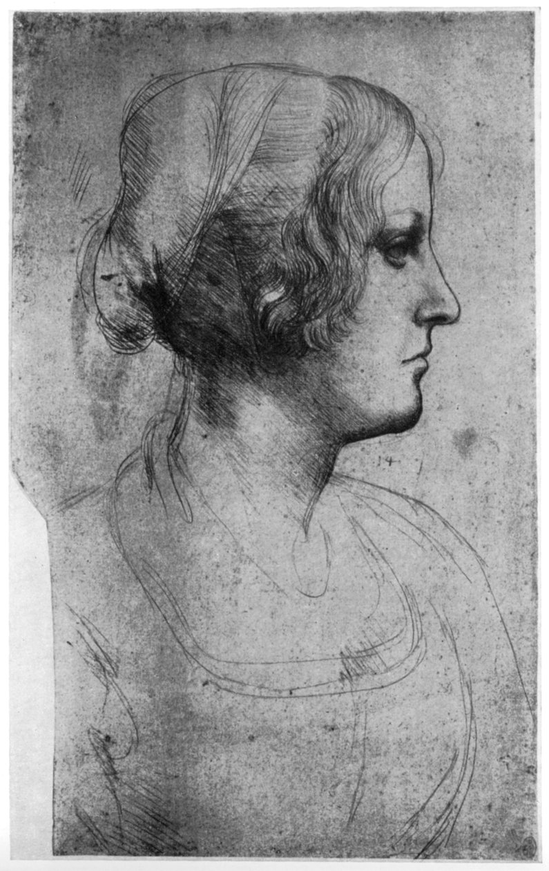 Portrétní studie hlavy mladé dívky, 15. století 1954. od Leonardo da Vinci